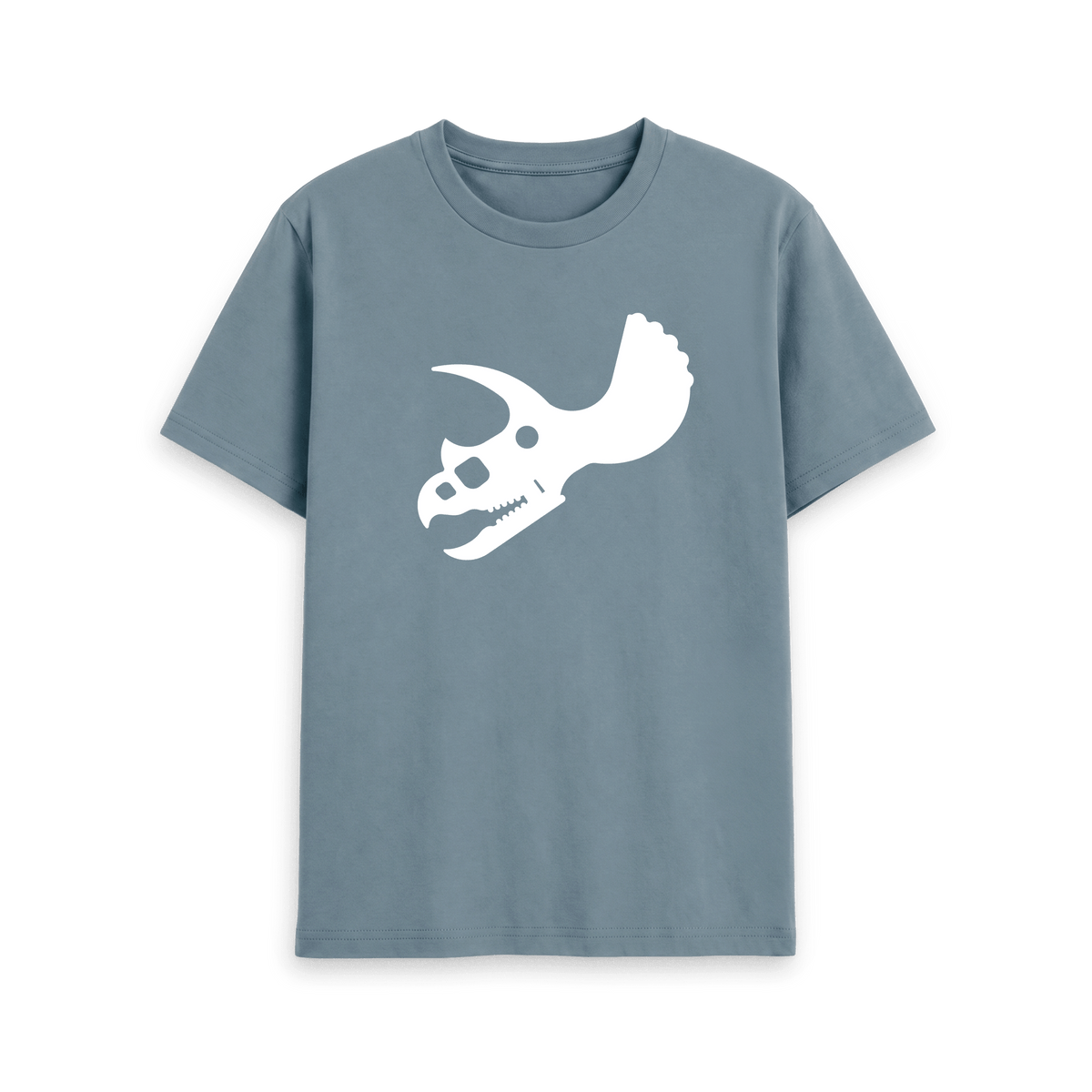 Stone Blue Printed T-shirt Front