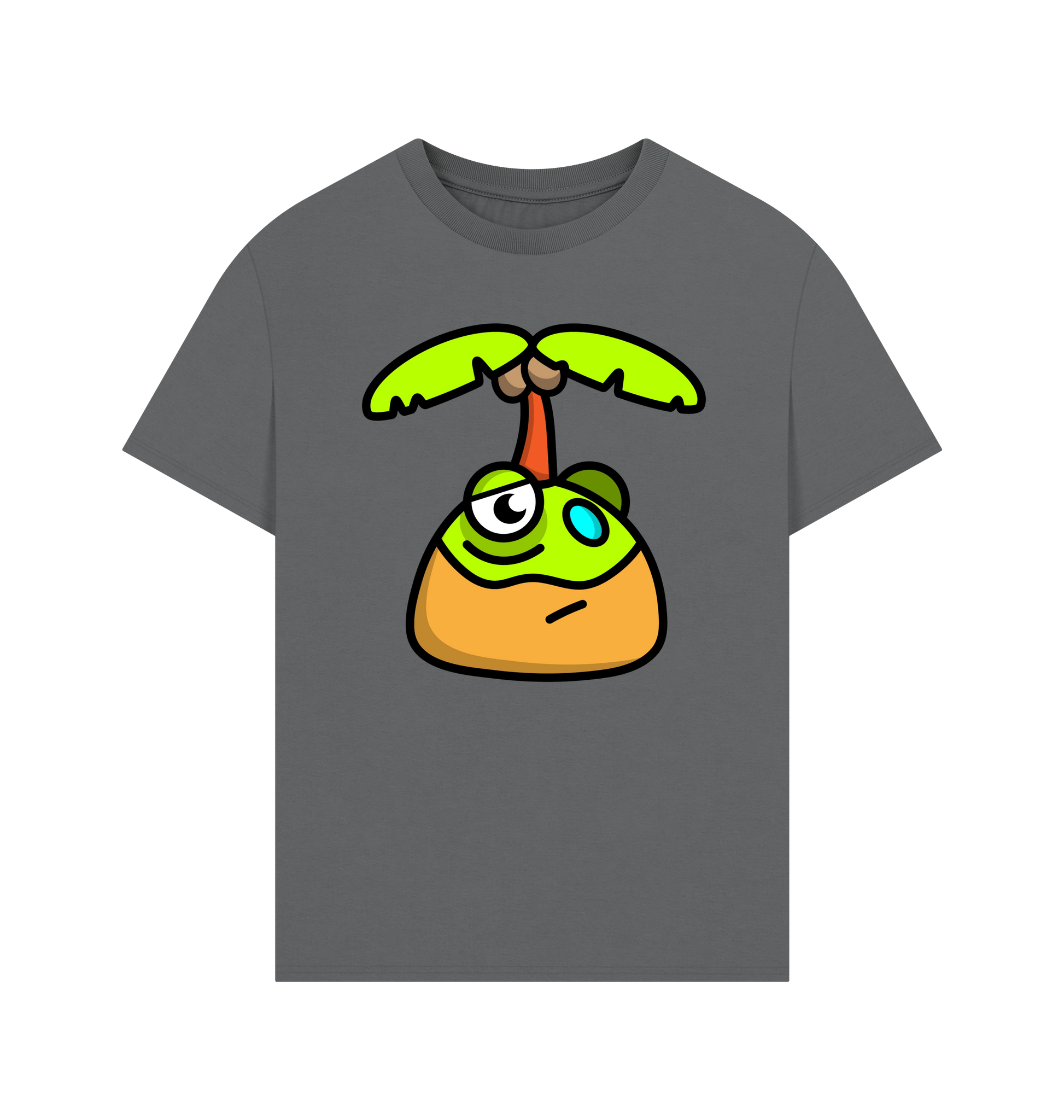 Slate Grey Printed T-shirt Front