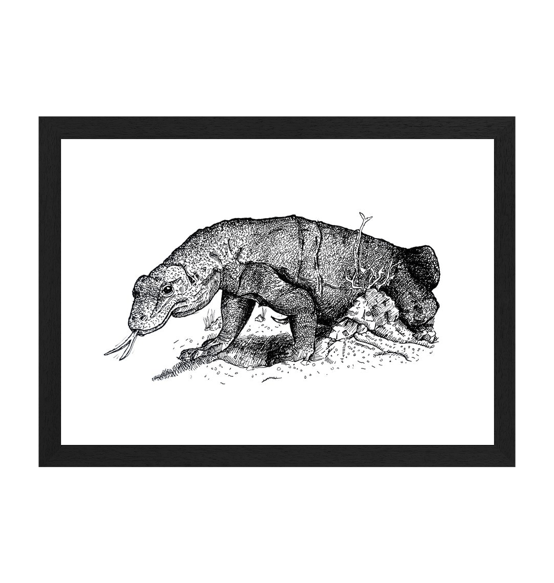 Black Frame Komodo Dragon Recycled Paper Art Wall Print Canvas