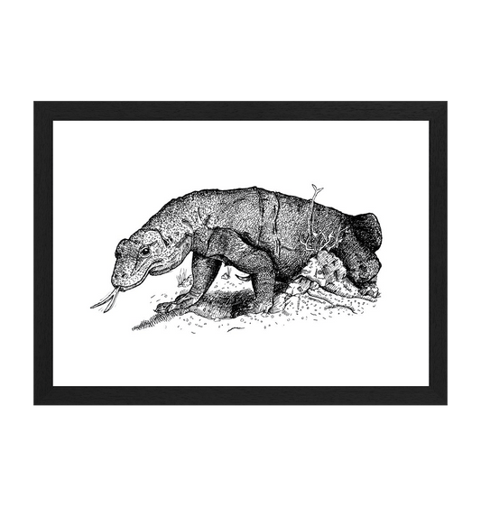 Black Frame Komodo Dragon Recycled Paper Art Wall Print Canvas