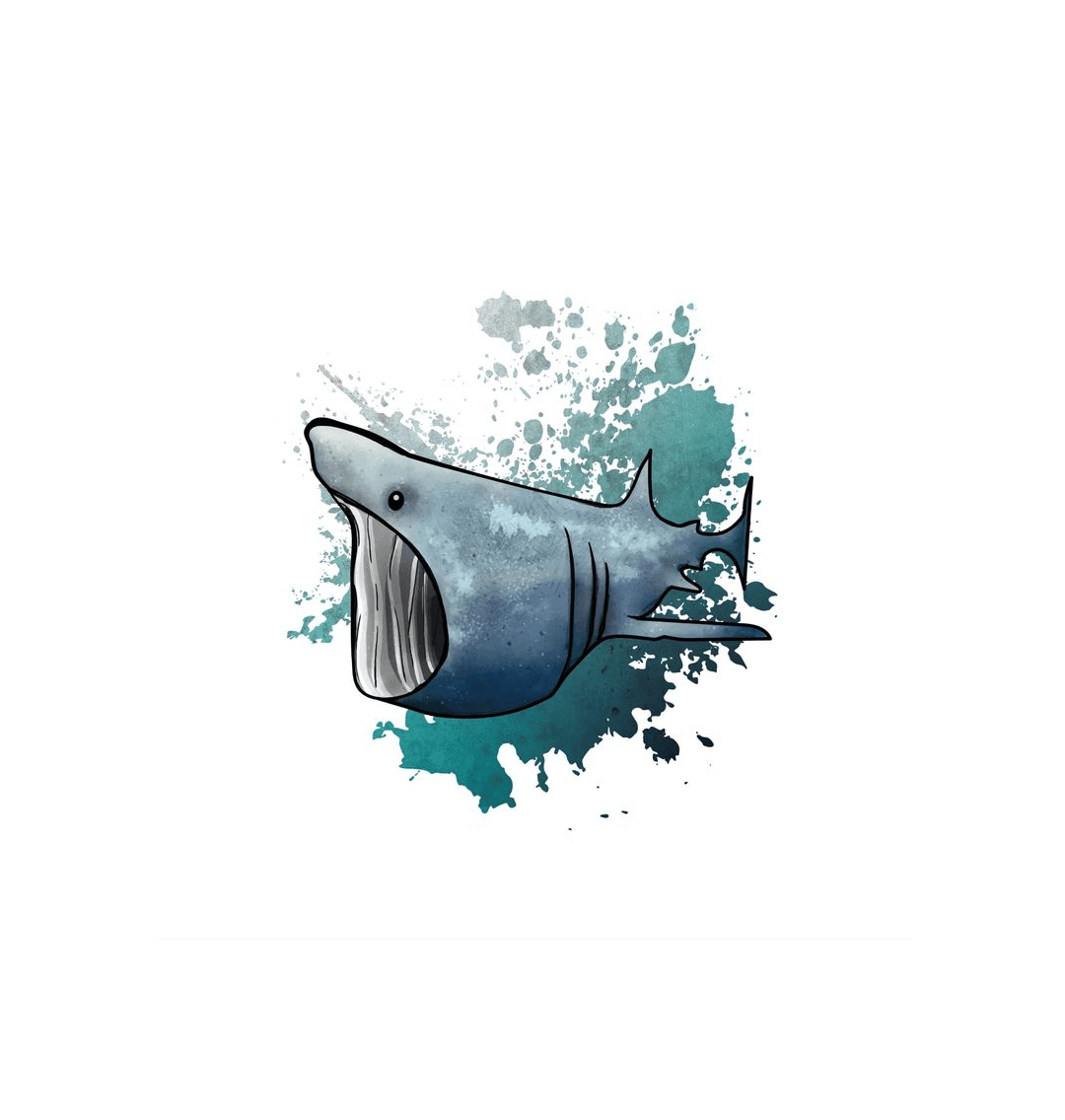 No Frame Basking Shark Recyclable Paper Art Wall Print Canvas