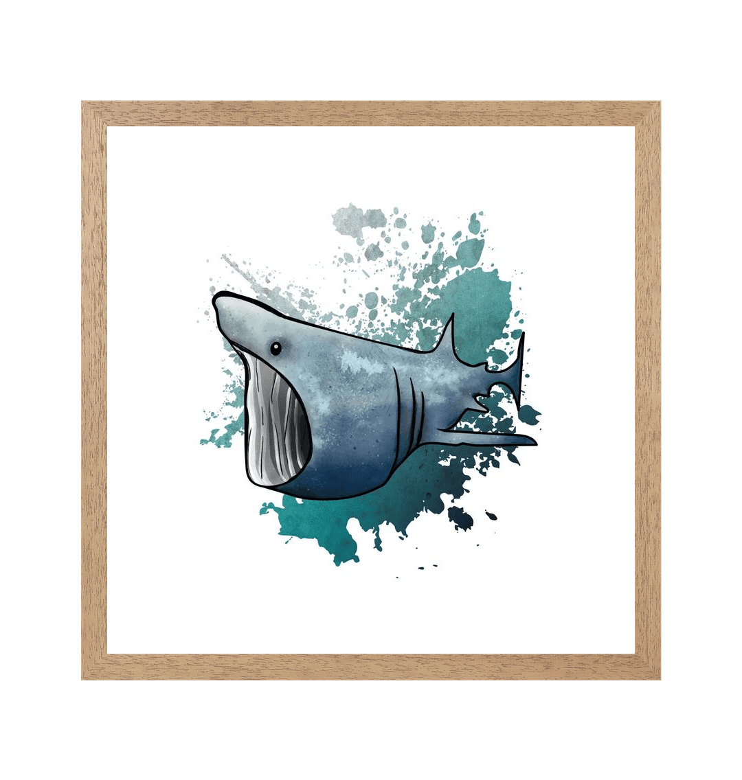 Natural Frame Basking Shark Recyclable Paper Art Wall Print Canvas