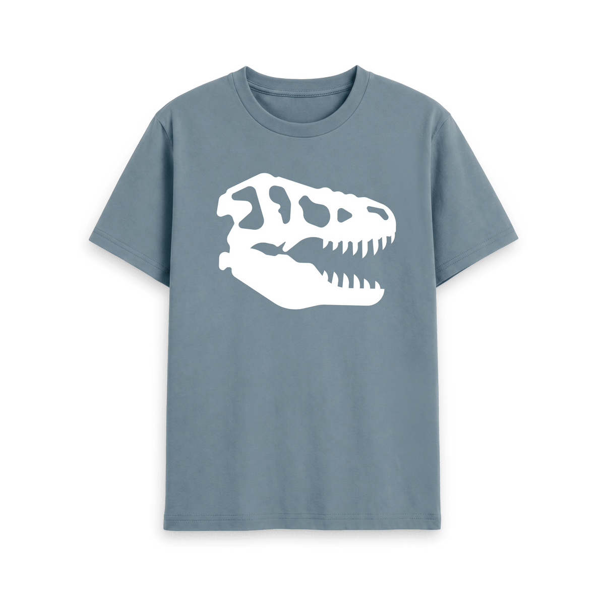 Stone Blue Printed T-shirt Front