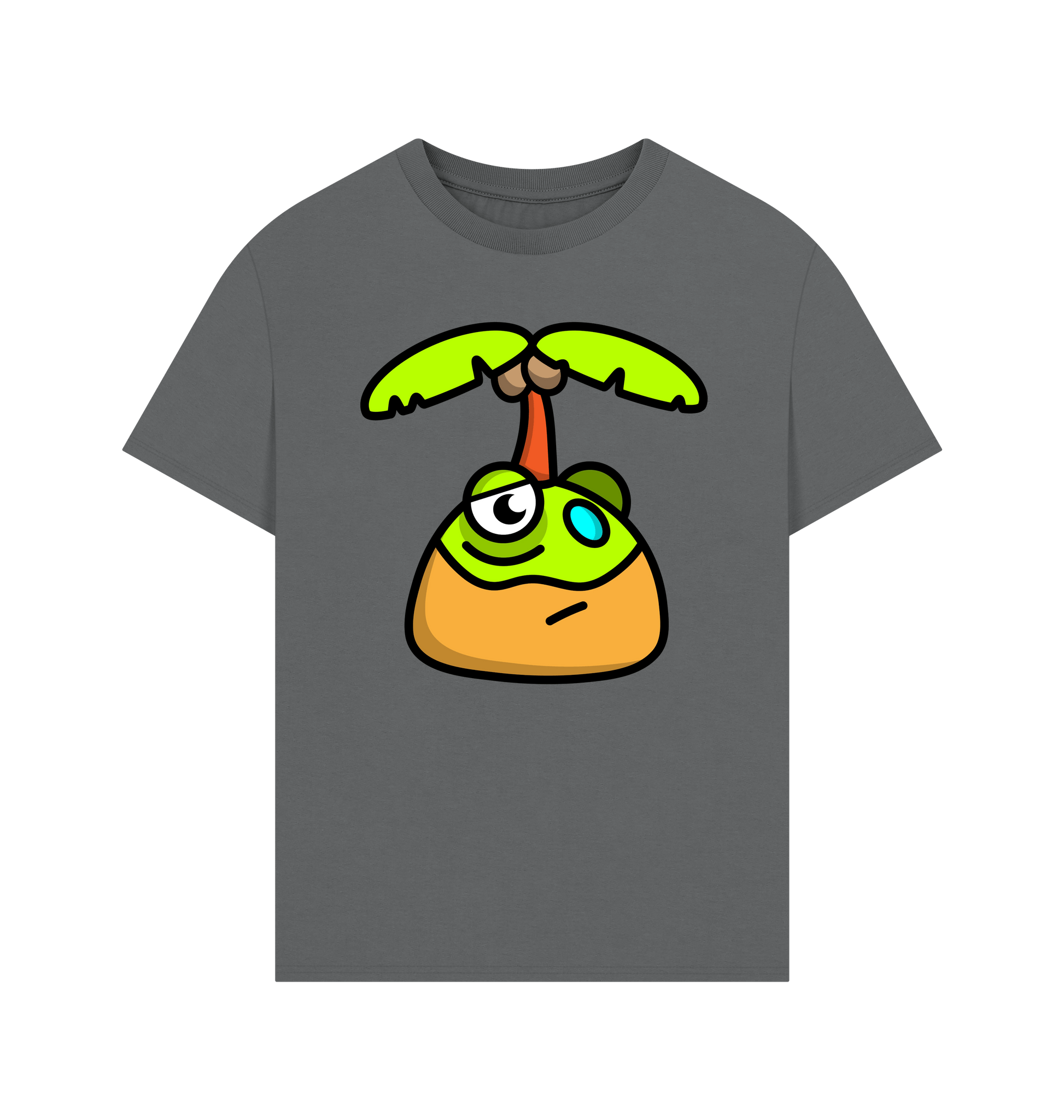 Slate Grey Printed T-shirt Front