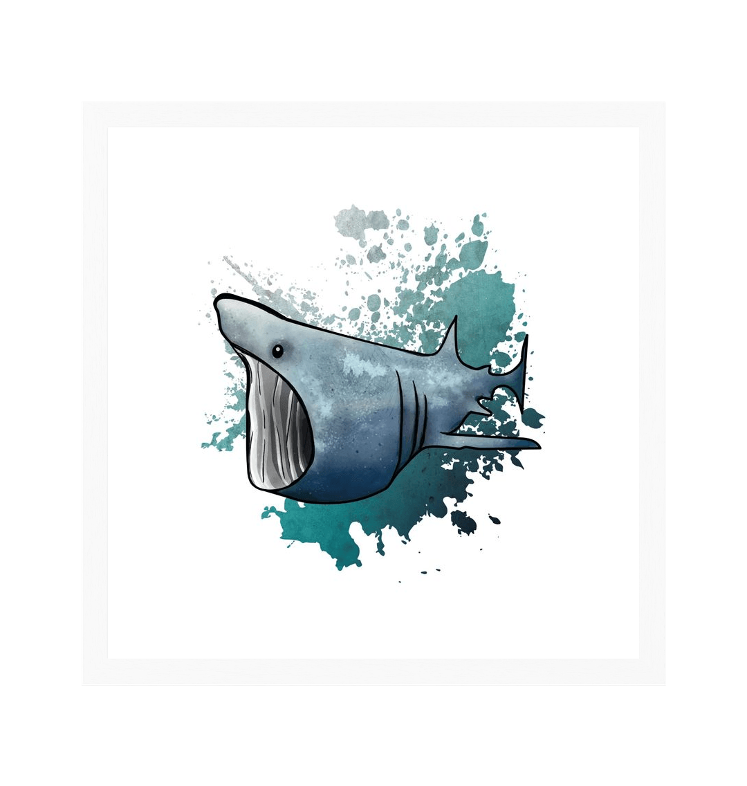 White Frame Basking Shark Recyclable Paper Art Wall Print Canvas