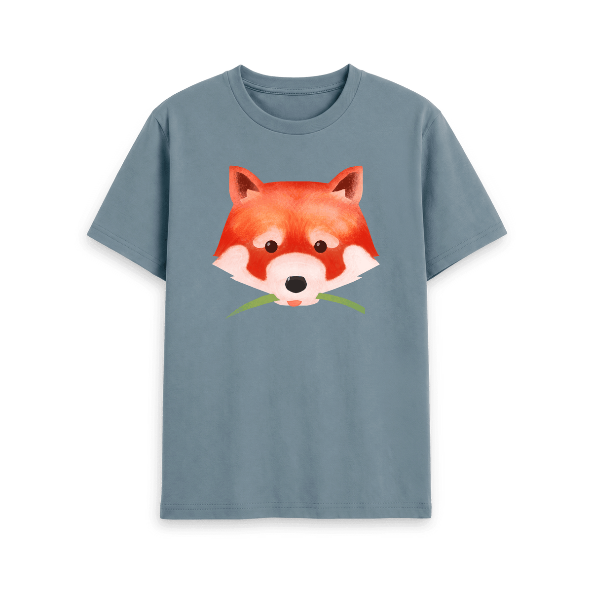 Stone Blue Printed T-shirt Front